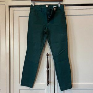 GAP Brand Green Colored Skinny Fit Womens Pants